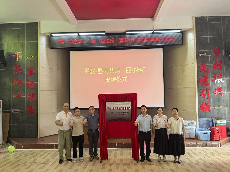 平安产险佛山分公司：携手西樵显岗党委开展党建慰问暨医疗物资捐赠活动