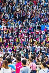 琴动鹏城！第五届深圳国际手风琴艺术周7月启幕，中外艺术家共赴音乐之约