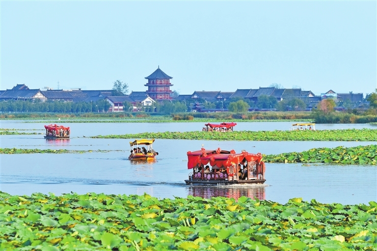 7月13日，游客乘船暢游淮陽(yáng)龍湖國(guó)家濕地公園。高尚華 攝