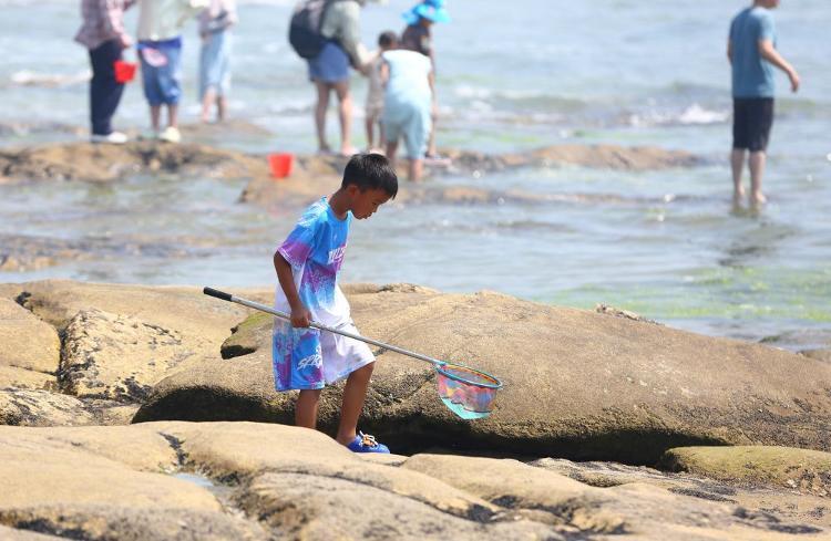 7月6日，小朋友在山东省日照市李家台赶海园赶海“寻宝”。新华社发（李志军摄）