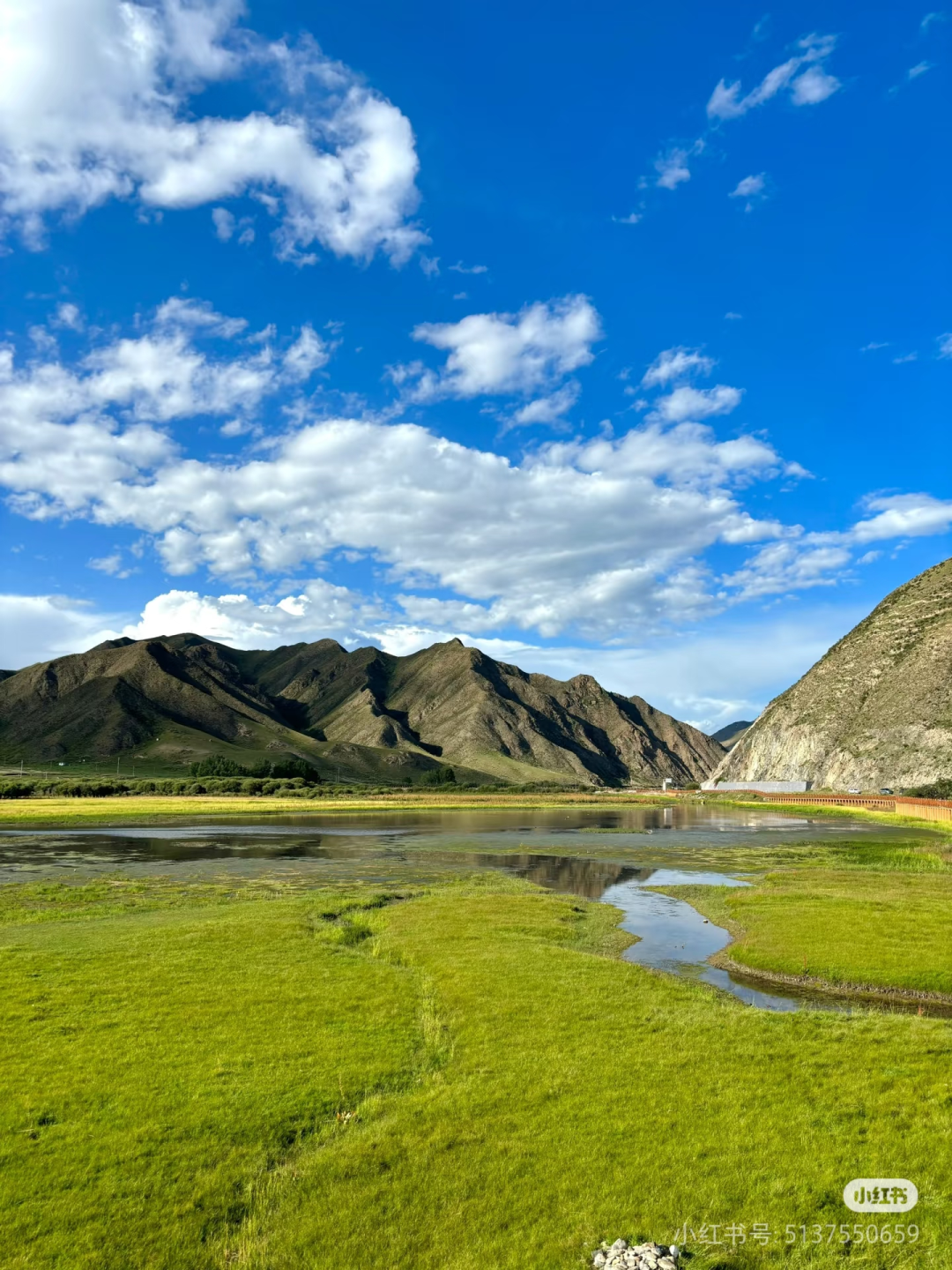 甘南桑科草原　图源：小红书@烤烤在此
