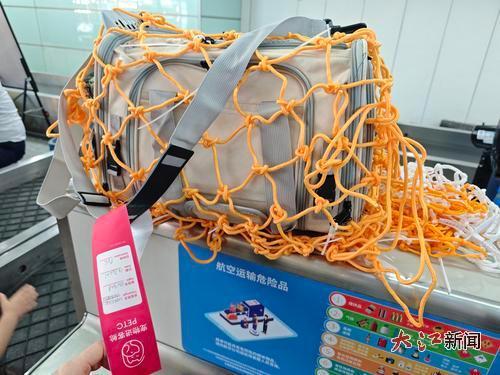 打包登记的宠物