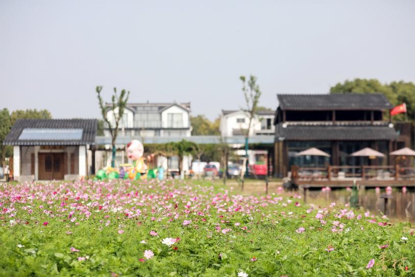 香村·祁庄