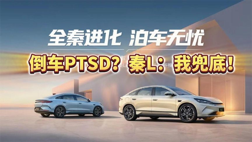 倒车PTSD？秦L：我兜底