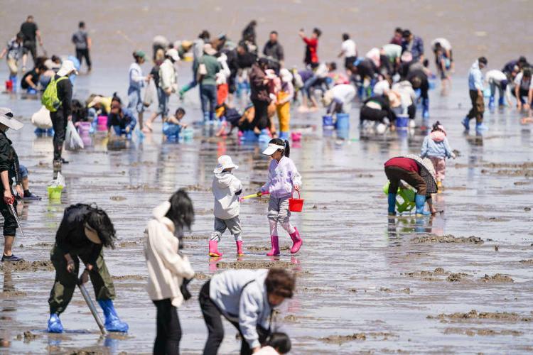 5月3日，游人在天津市滨海新区东疆亲海公园赶海。新华社发（杜鹏辉摄）