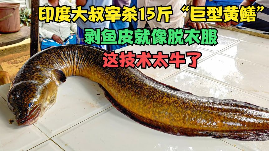 印度大叔宰15斤巨型黄鳝做菜？剥鱼皮就像脱衣服，这技术太牛了