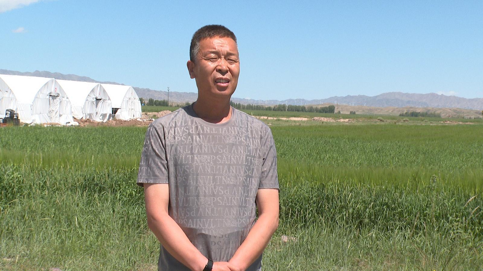 南菇北种添“蘑”力　永昌解锁乡村致富密码