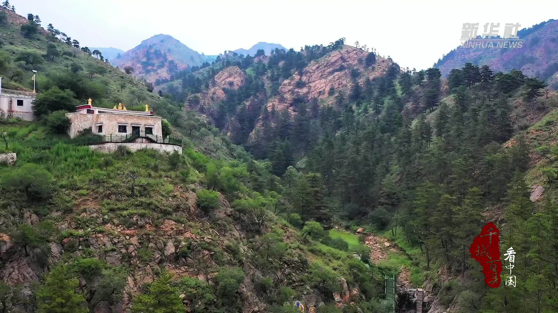 千城百县看中国｜内蒙古：云海松涛绿浪涌