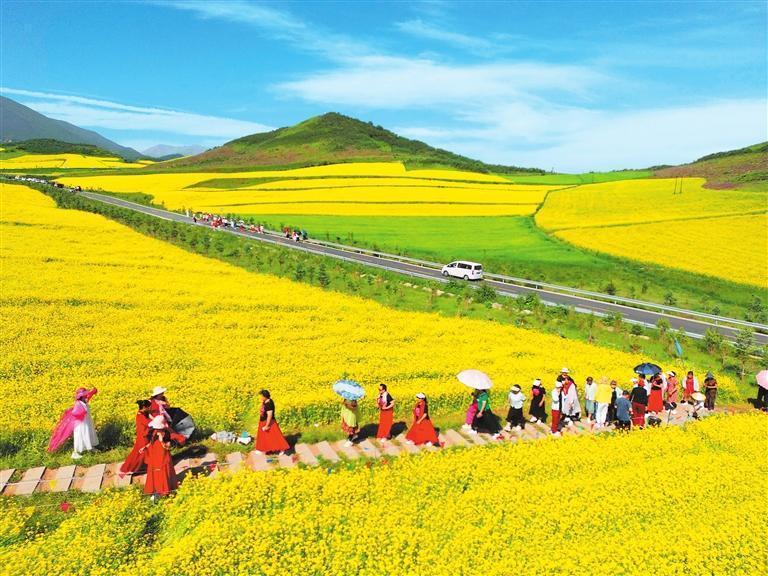 近期，古浪县古丰镇油菜花田进入盛花期，吸引游人观景赏花。新甘肃·甘肃日报通讯员　姜爱平