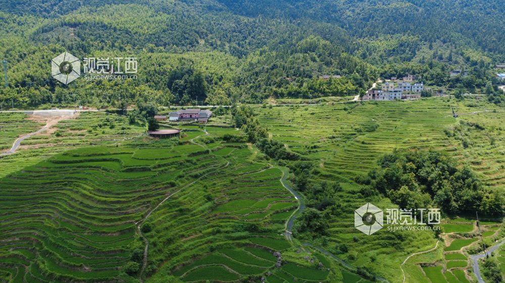 芦溪县张佳坊乡玉皇山梯田。