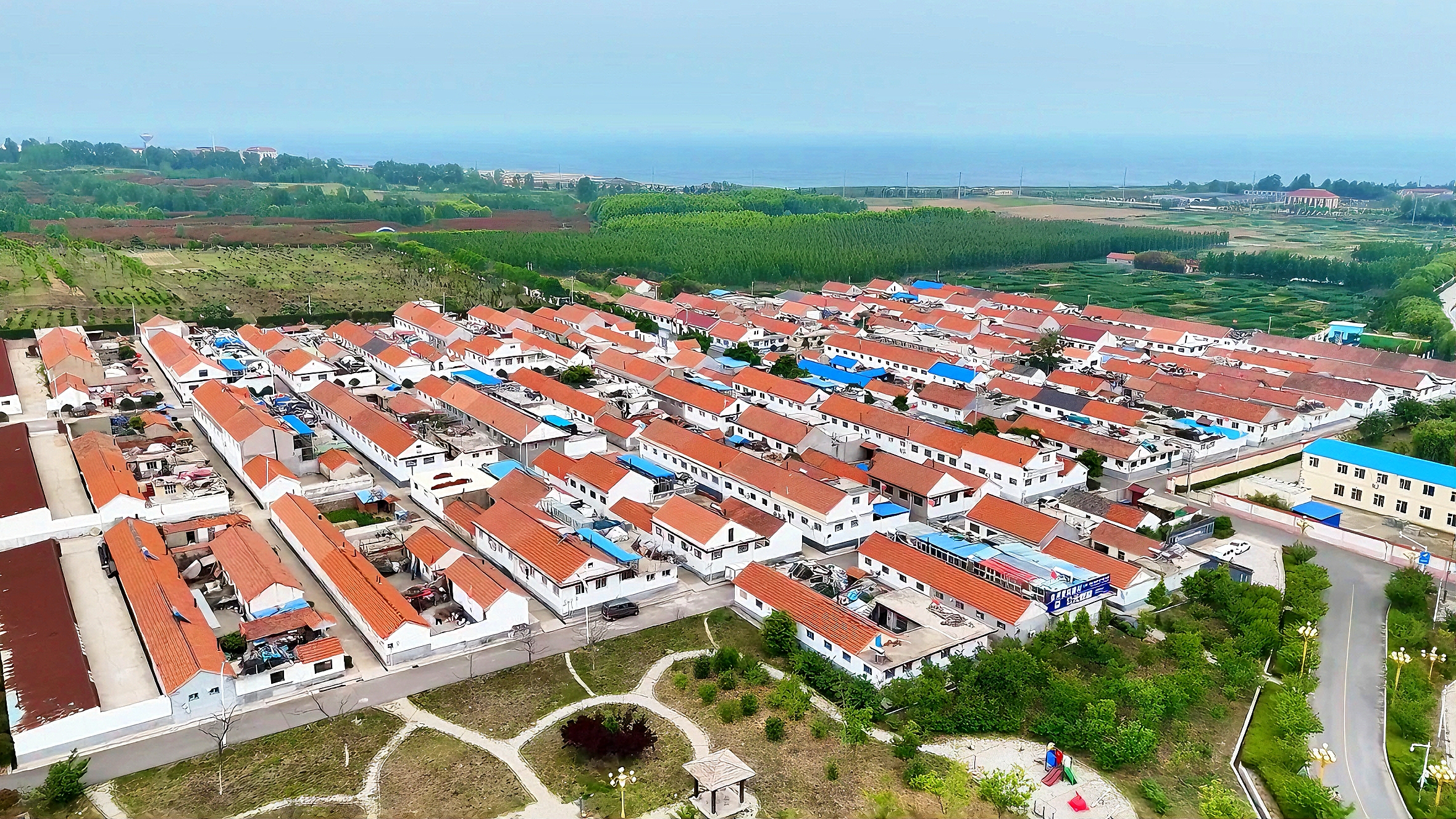 青岛乡里乡亲|德育乡村新风尚,积分绘就文明卷——周家河村的乡村振兴密码