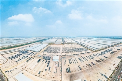 郑州比亚迪工厂