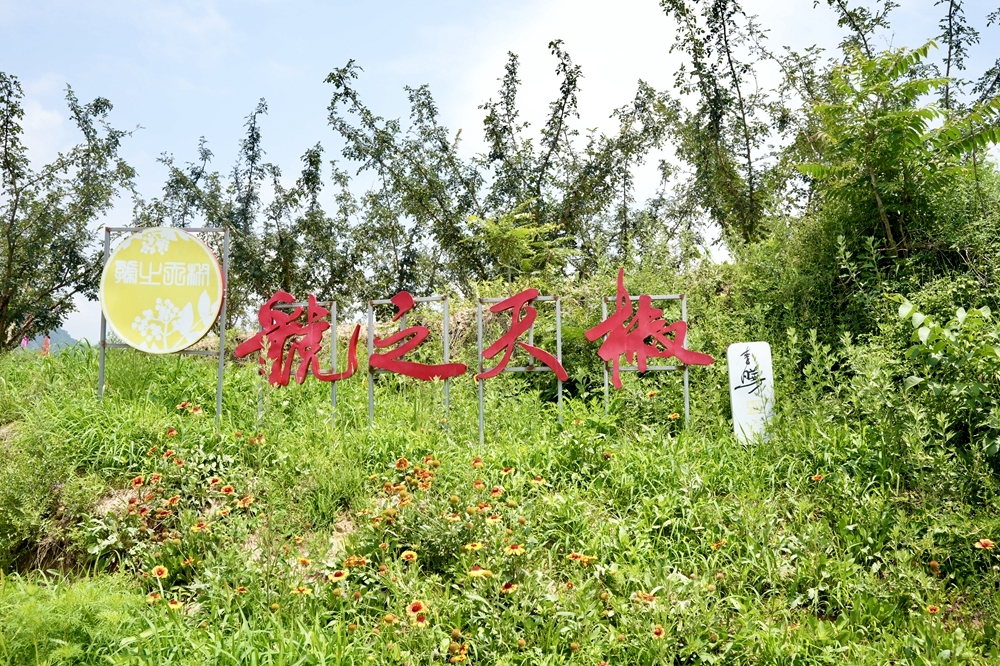 宝鸡市陈仓区召开林业产业高质量发展大会