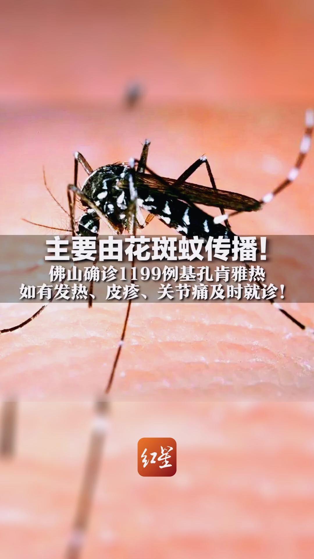  广东佛山疫情最新数据(广东出现严重疫情那是什么病)