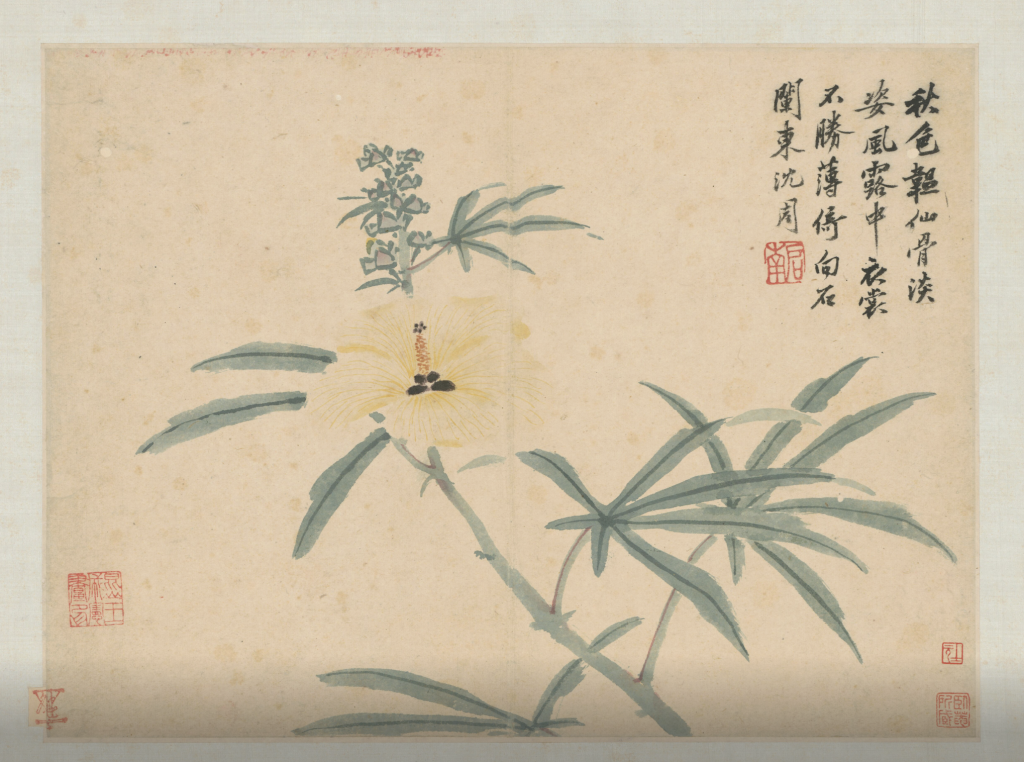 《卧游图》中的蜀葵