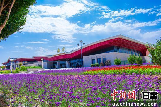 7月10日，敦煌莫高国际机场周边的花海美景。周玉玲　摄