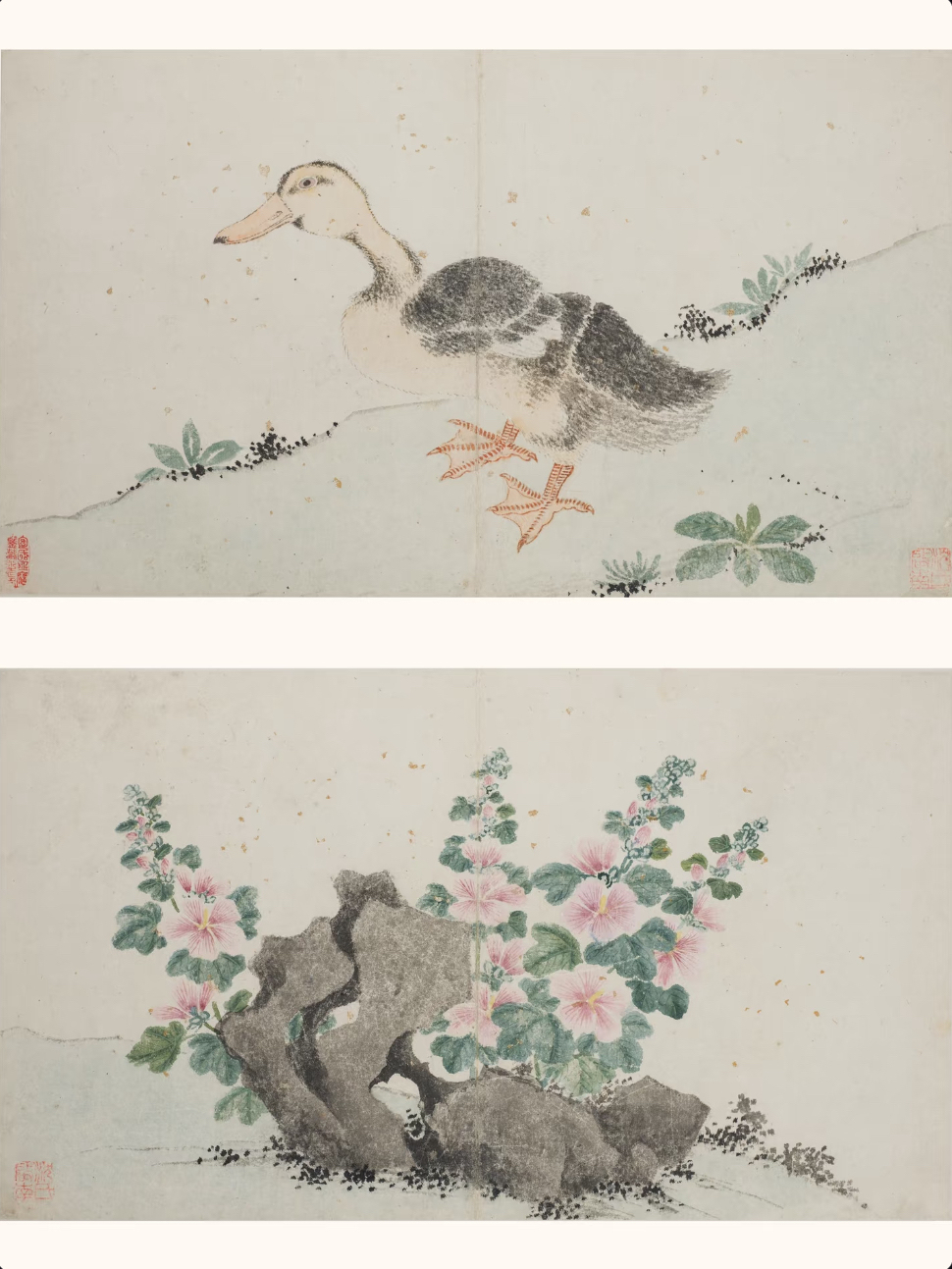 沈周《花鸟册》(其二),苏州博物馆藏