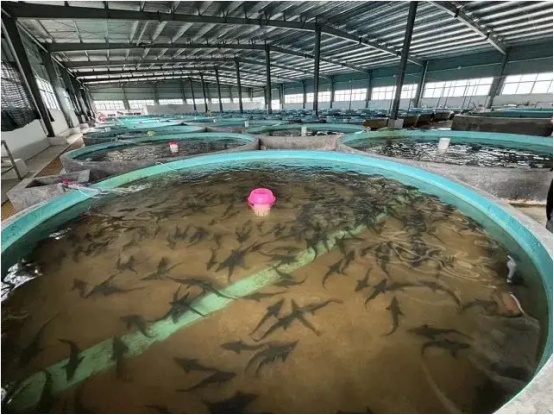 潮涌信江千帆競——上饒高質量發展創新實踐