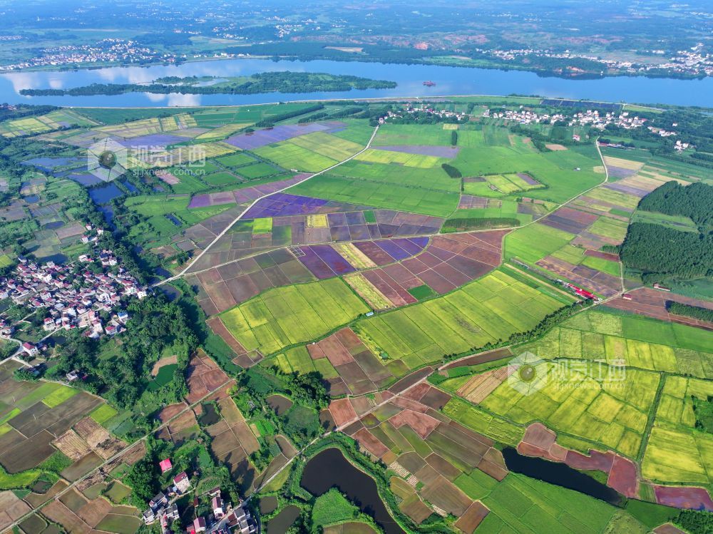 7月14日，江西省吉安市泰和县沿溪镇仓岭村，夏日田园美如画。