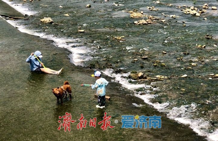 一年四季 泉在济南丨高温天玉符河成消暑热门地 戏水露营乐趣多