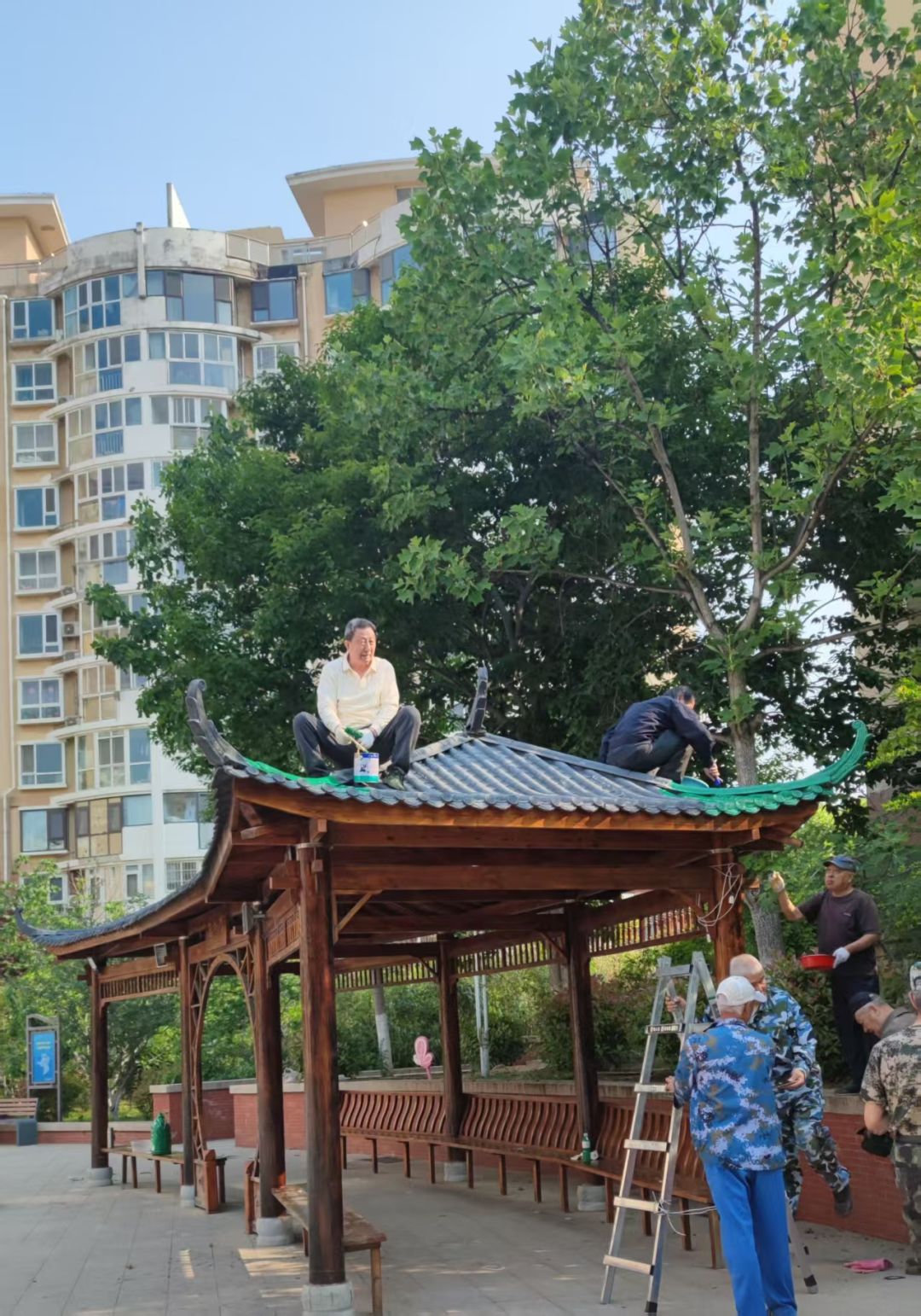 微笑青岛 | 梁正合：从“铁血战士”到社区 “老兵书记”，写好基层治理“大文章”