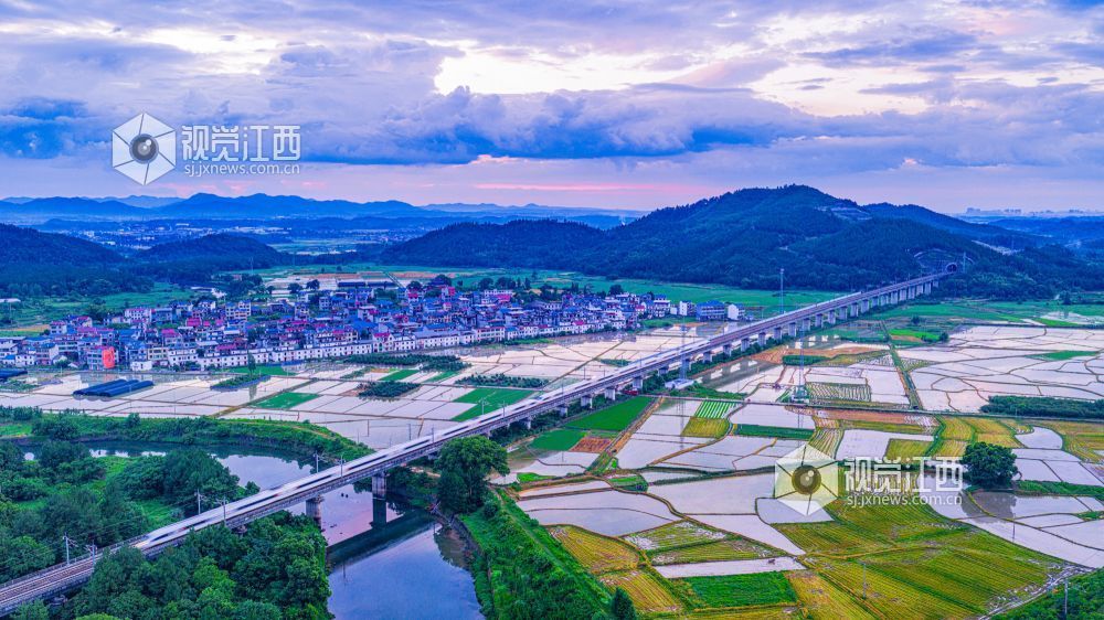 2025年7月10日在江西省吉安市峡江县拍摄的画面。