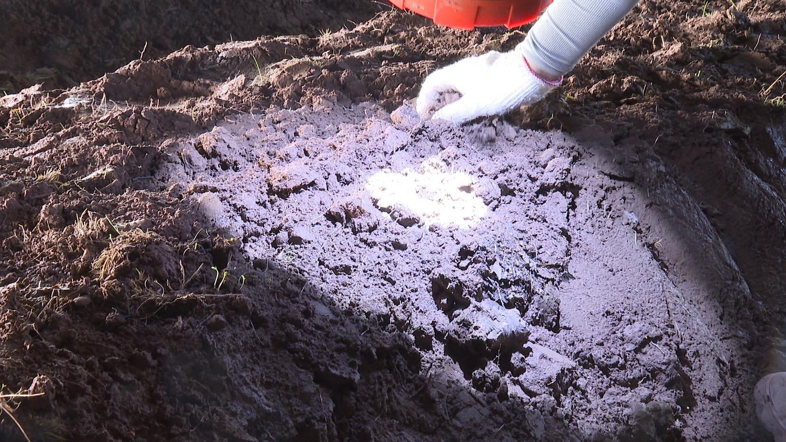 南菇北种添“蘑”力　永昌解锁乡村致富密码