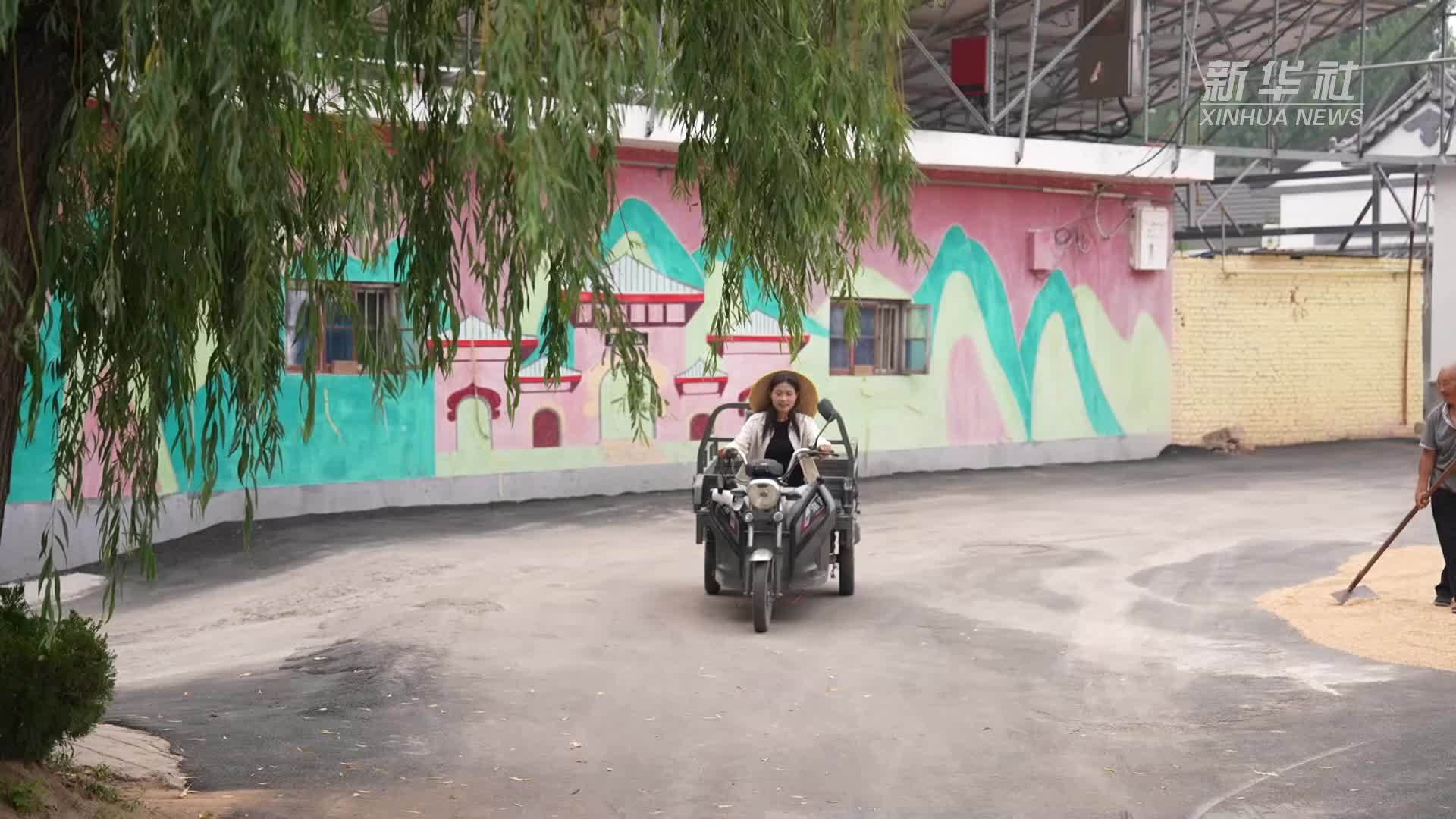 党旗在基层一线高高飘扬｜张桂芳：用青春为乡村添彩