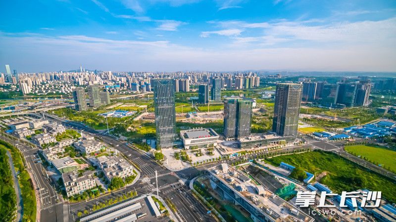 马栏山视频文创园。 园区供图