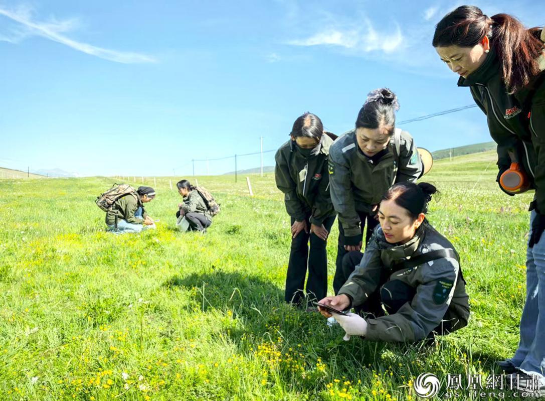 队员们在巡护途中采集上传植物信息　肖刚　摄