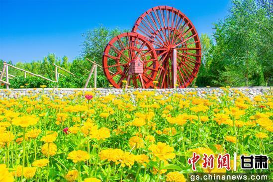 7月10日，敦煌莫高国际机场周边的花海美景。周玉玲　摄