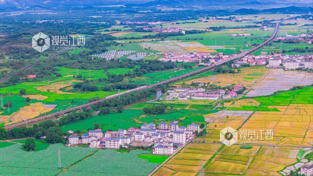 2025年7月10日在江西省吉安市峡江县拍摄的画面。