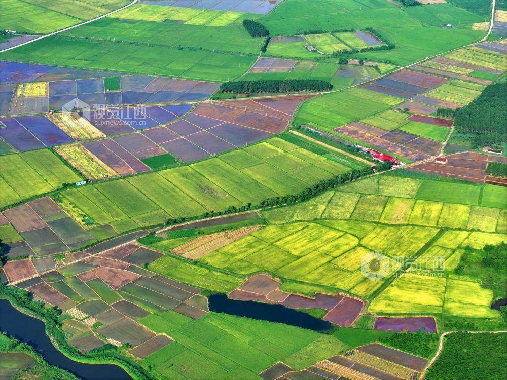 7月14日，江西省吉安市泰和县沿溪镇仓岭村，夏日田园美如画。