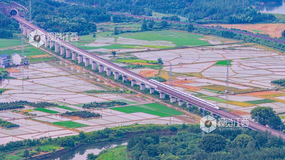 2025年7月10日在江西省吉安市峡江县拍摄的画面。