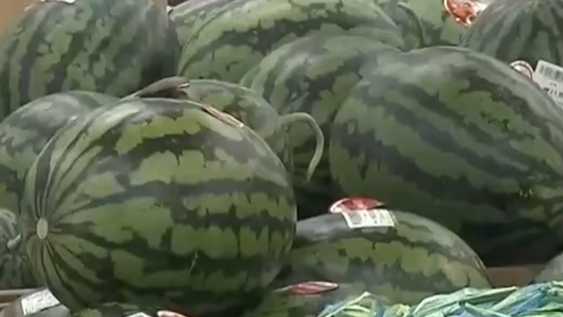 一个西瓜涨到156元，韩国高温致西瓜、大白菜等农产品价格暴涨