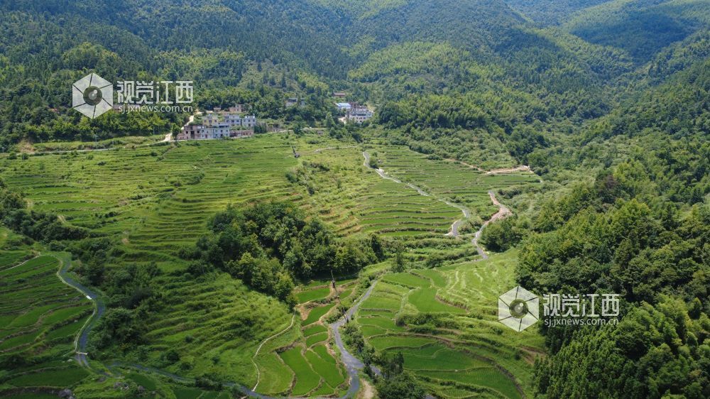 芦溪县张佳坊乡玉皇山梯田。