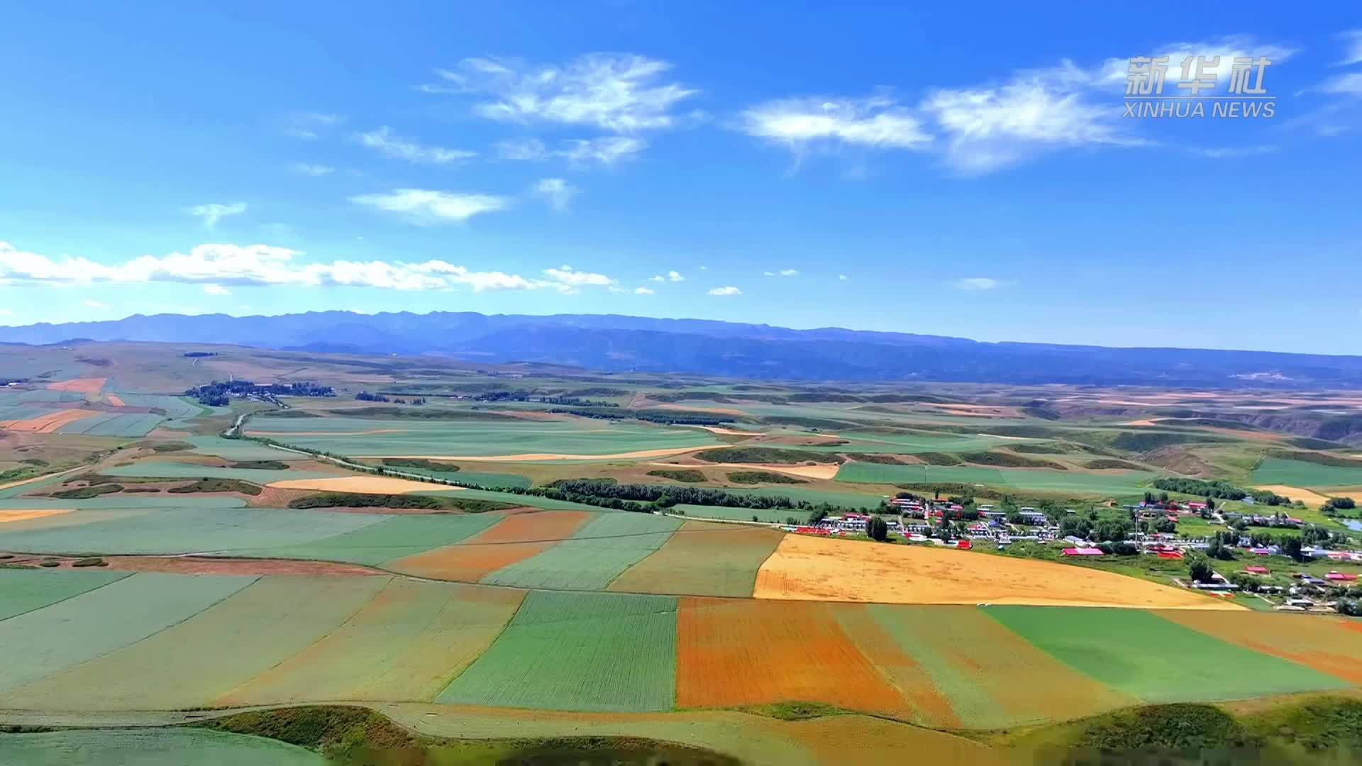 新疆裕民县盛夏田野美如画
