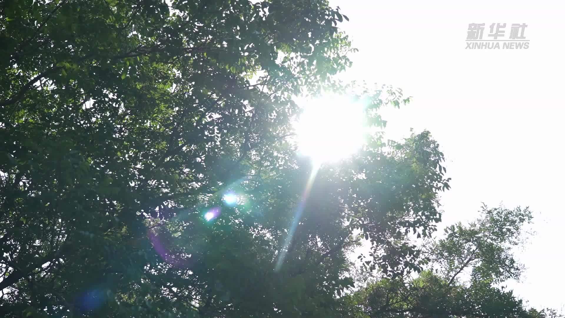 高温“烤”验下 河南多地多举措守护群众暑期安全
