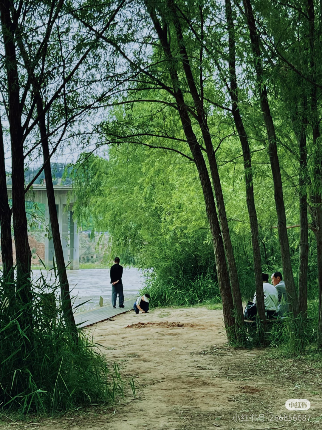 滩尖子湿地公园　图源：小红书@柒柒林