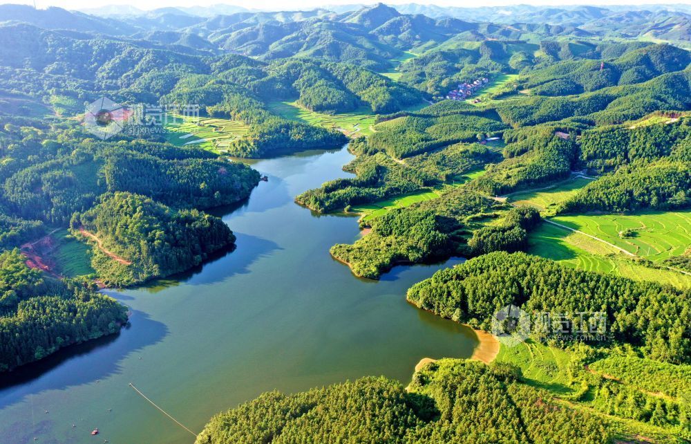 2025年7月24日，俯瞰江西省吉安市峡江县砚溪镇樟溪上景区，星罗棋布的岛屿与成片的绿色植被互相映衬，呈现一派湖光山色的生态画卷。