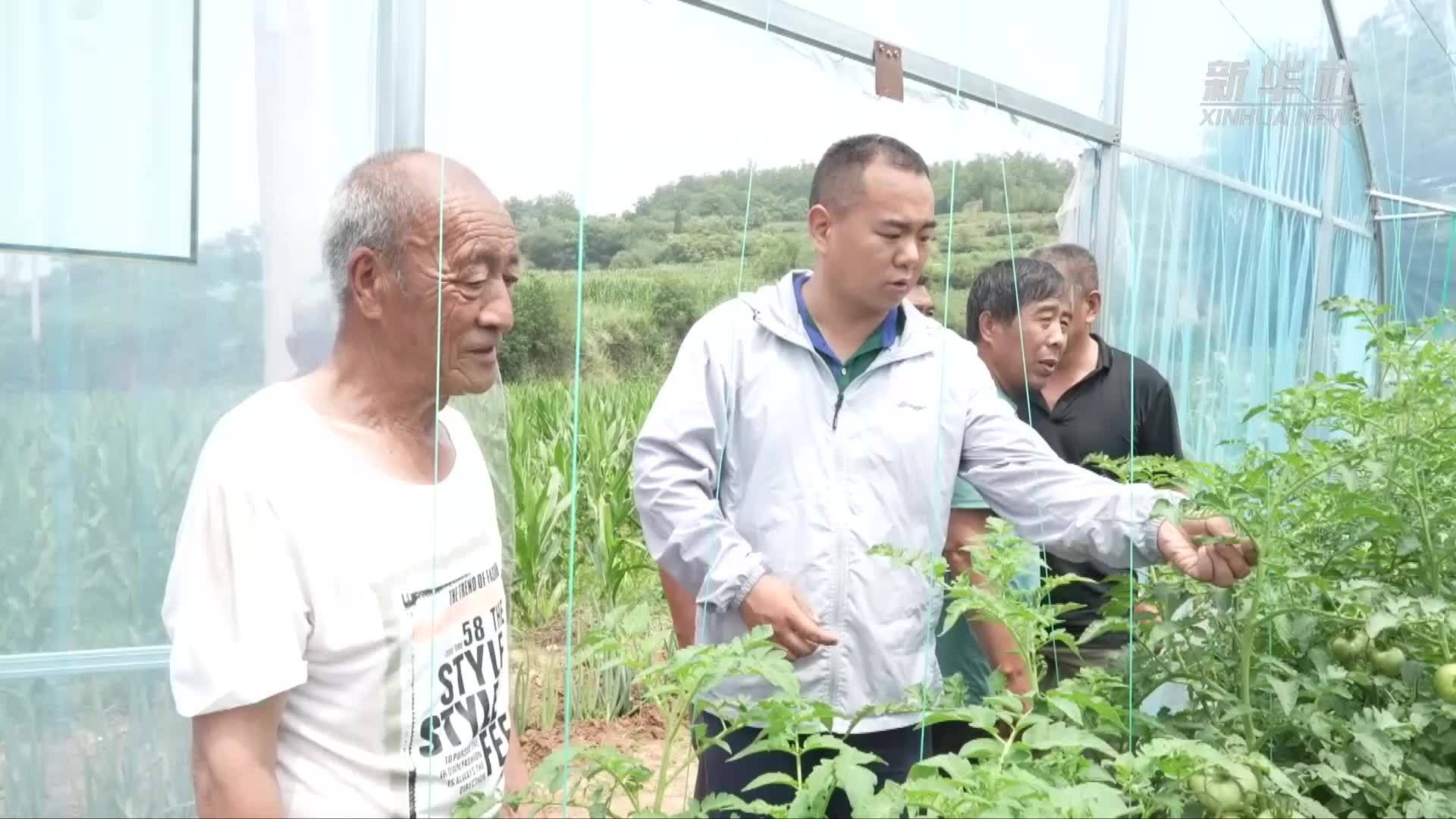 山西汾西：庭院小天地 增收大文章