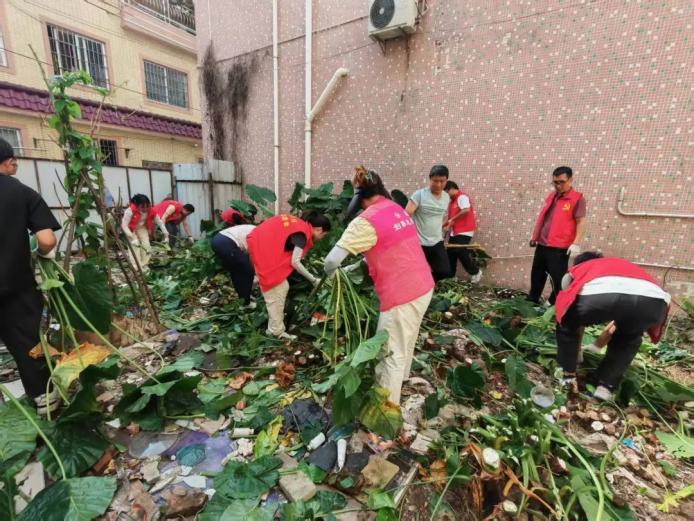 党建引领,各界参与:织密顺德蚊媒疫情防控网