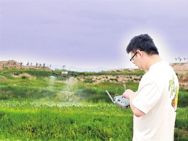 技术员操作无人机施药　兰州新区报记者　李怡青　摄