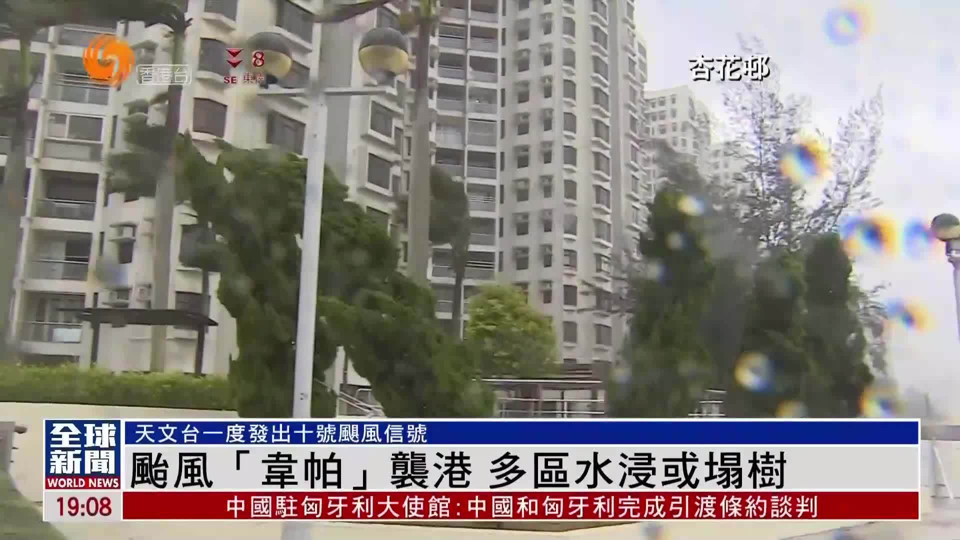 粤语报道｜台风“韦帕”袭港 多区水浸或塌树