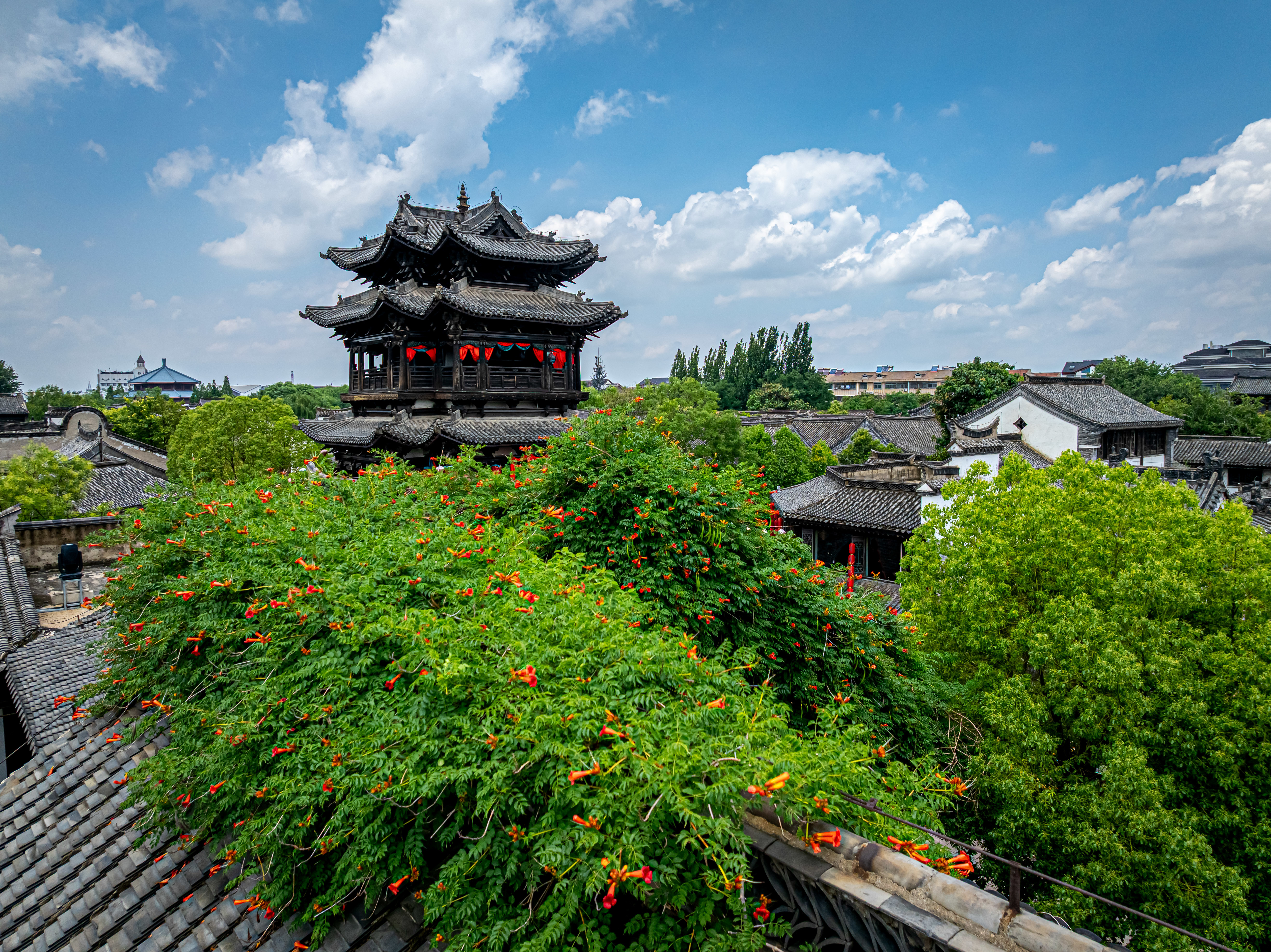 台儿庄古城天空湛蓝，与绿树相映成趣。新华网发（孔闯 摄）