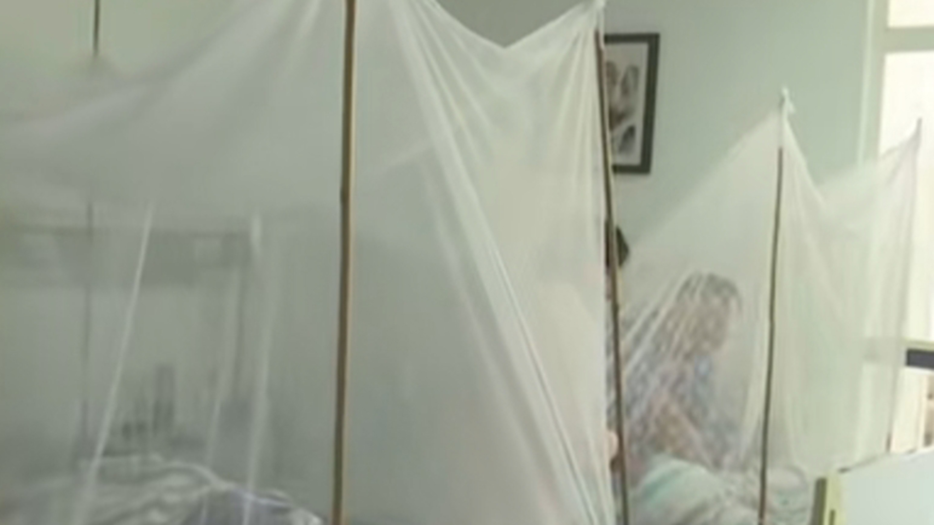 佛山顺德一天增463例基孔肯雅热，均为轻症，尚无人传人报道，当地一村委会通知全村准时在家点蚊香