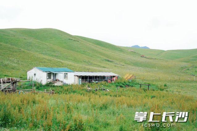 未来一周长沙多阵性降雨，24日起高温再度发展。 长沙晚报全媒体记者 舒元臻 摄