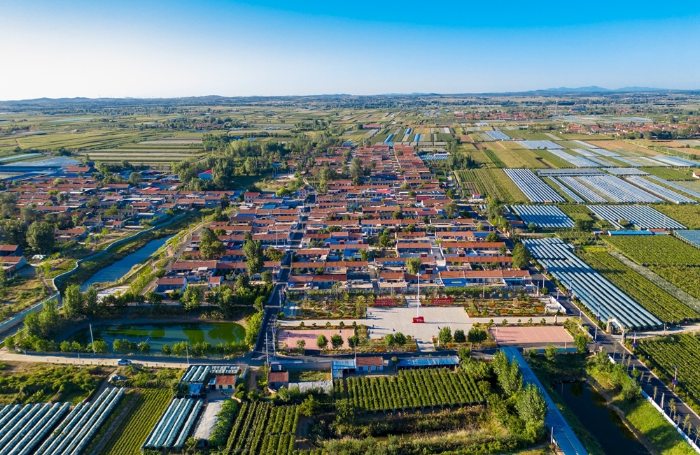青岛乡里乡亲|日庄镇沟东新村:文明乡风激活乡村振兴“一池春水”