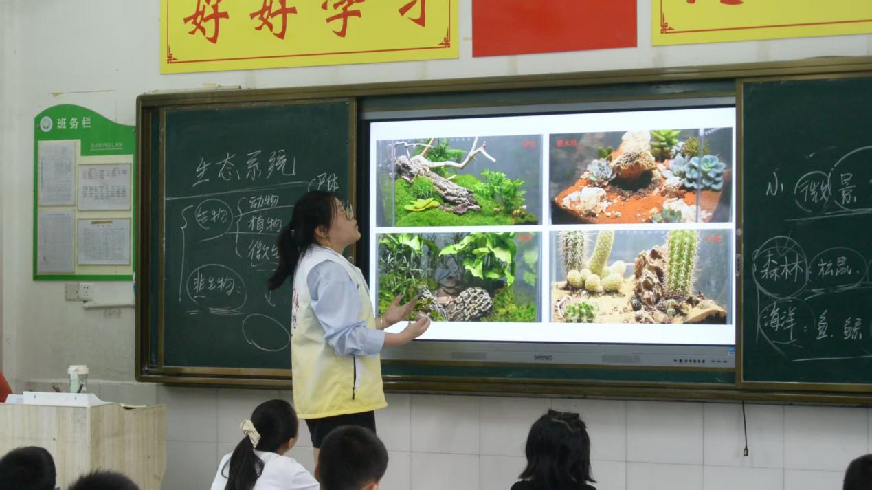 创“心”赋能乡村教育 中南林科创青年走进平江