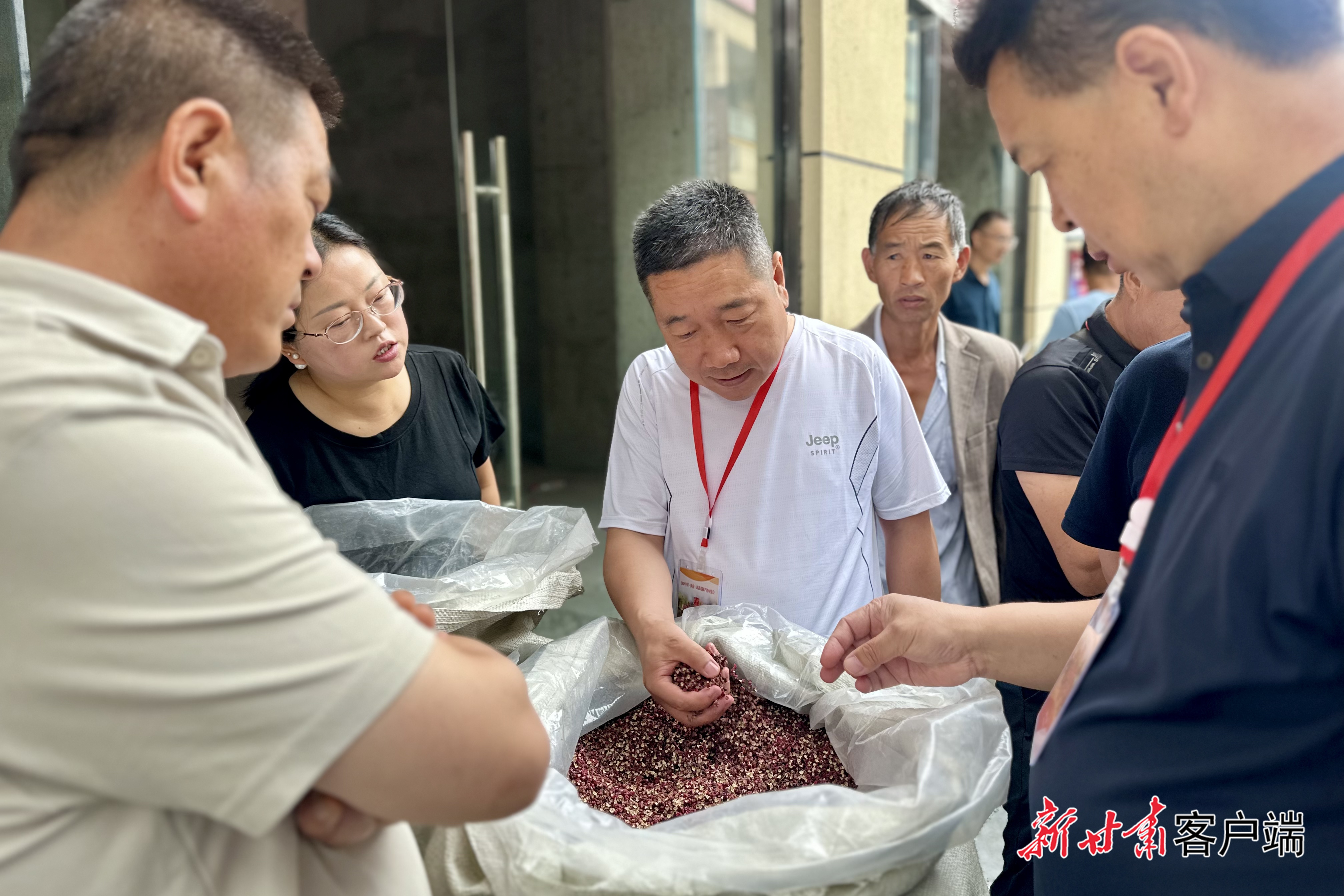客商们在交易市场查看武都花椒品质（除署名外，照片由新甘肃&middot;甘肃日报记者王煜宇摄。）